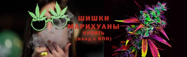 сатива Магадан