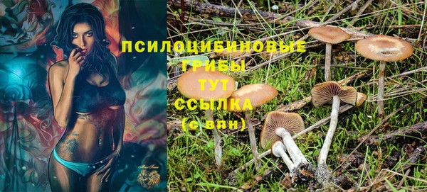 spice Медвежьегорск