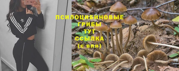 бутират Магас