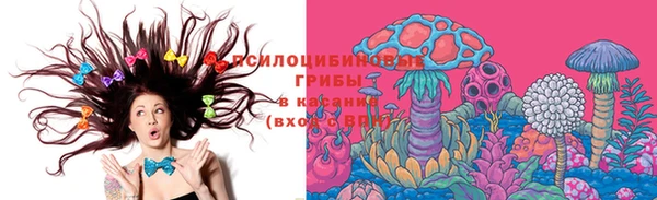 прущая мука Верея