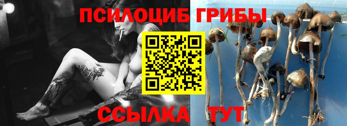 наркотики  Псилоцибиновые грибы Psilocybe  Галлюциногенные грибы MAGIC MUSHROOMS  Вход с VPN  Воткинск 